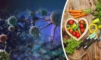 سرطان و راههای پیشگیری از آن با اصلاح الگوی غذایی